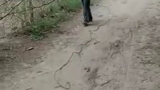 नगवा में विद्युत विभाग की टीम ने शिवपूजन सिंह की अगुवाई में चलाया सघन चेकिंग अभियान, लोगों को दिया सख्त निर्देश