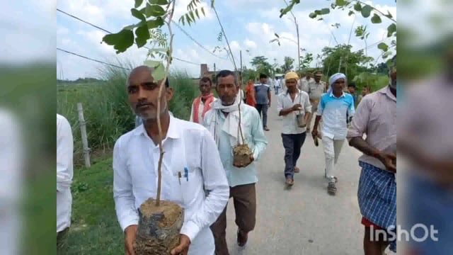 वन विभाग के द्वारा हिंदू नगर खास ग्राम पंचायत में हरशंकरी पौधे का किया गया रोपण