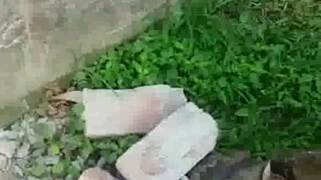 अज्ञात चोरों द्वारा लाखों का माल पार डलमऊ तहसील क्षेत्र के बासी परान में अज्ञात चोरों ने सेंध काटकर लगभग 30 हजार हजार नग