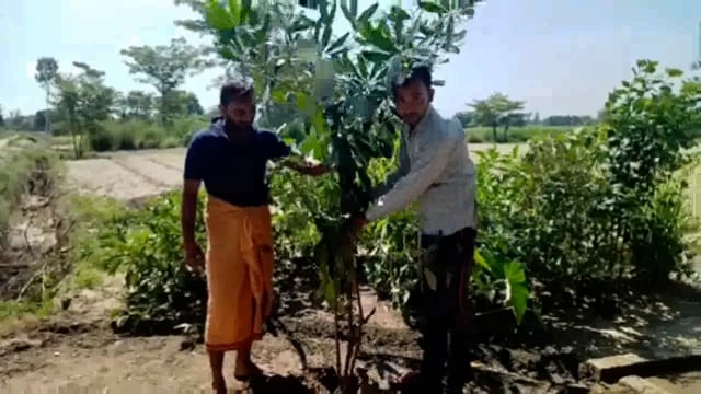 तरबगंज: अवध केसरी सेना के न्याय पंचायत अध्यक्ष ने वृक्षारोपण कर पर्यावरण संरक्षण का दिया संदेश