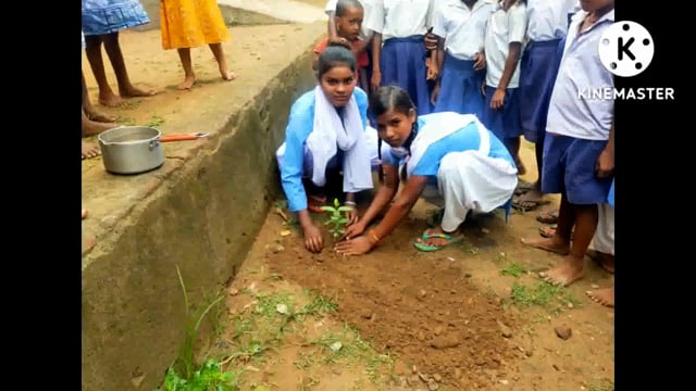 पृथ्वी दिवस के उपलक्ष्य पर प्रोन्नत मध्य विद्यालय घुठिया के छात्र छात्राओं ने किया वृक्षारोपण