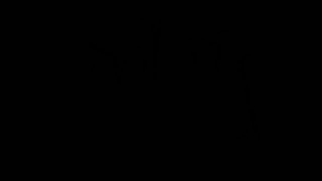 Video-Vorschau