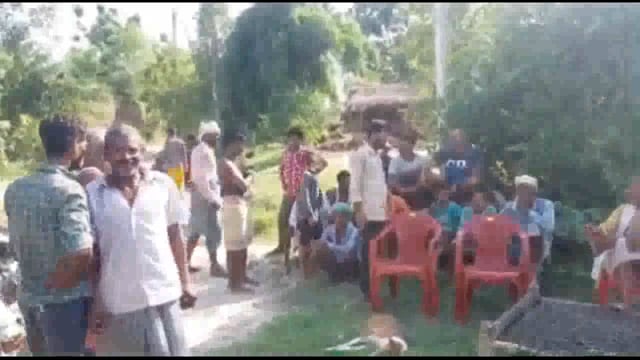 नवाबगंज: विद्युत करंट की चपेट में आने से एक भैंस की हुई मौत कई सांप और मछलियां भी मरीं