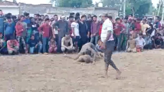 *रायबरेली*विगत वर्षों की भांति ऐतिहासिक पर्व रक्षाबंधन के शुभ अवसर पर इस बार भी विशाल दंगल कार्यक्रम का आयोजन किया गया