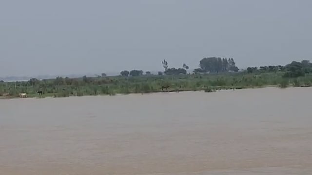 नवाबगंज क्षेत्र में बह घाघरा नदी का घटना शुरू हुआ जल स्तर