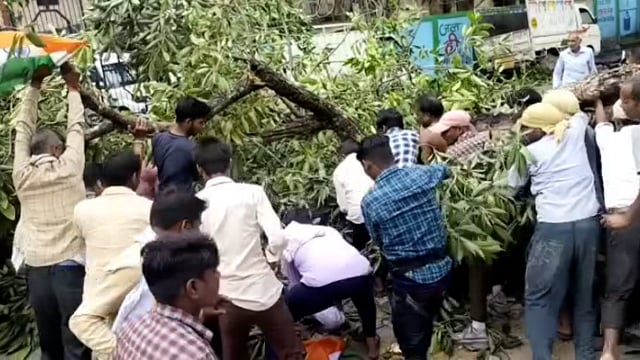 फतेहपुर में स्वतंत्रता दिवस के कार्यक्रम से लौट रही छात्रा पर गिरी पेड़ की डाल हुई मौत परिवार में छाया मातम
