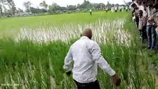 सिद्धार्थनगर जिले के इटवा में मिला गोवंशीय पशु का अवशेष 