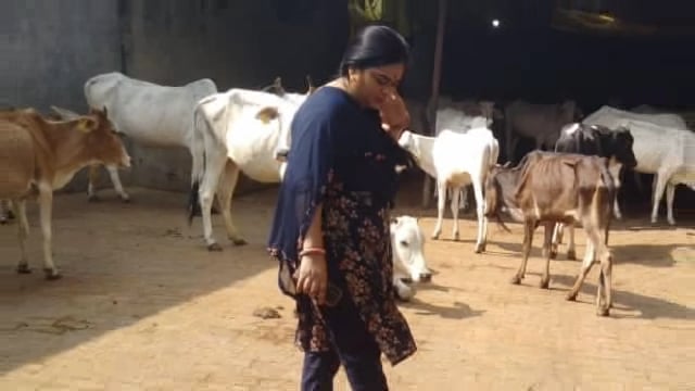 बहराइच यूपी आदर्श नगर पालिका नानपारा रेनू यादव अधिशासी अधिकारी ने* गौशाला का निरीक्षण किया मुख्यमंत्री के आदेश अनुसार रे