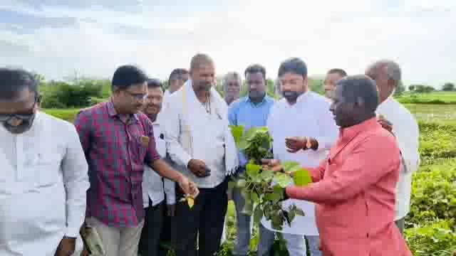 हेर व देवर्जन येथील नुकसान ग्रस्त पिकांची माजी आमदार सुधाकर भालेराव यांनी केली पाहणी