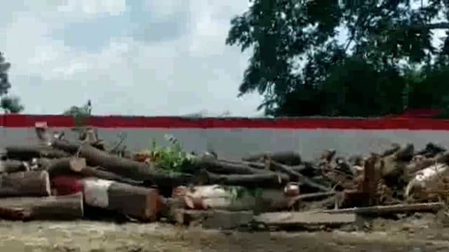 थाना परिसर में लगे हरे भरे पेड़ काटने के दौरान कई मजदूर हुए घायल, नहीं करवाया गया इलाज