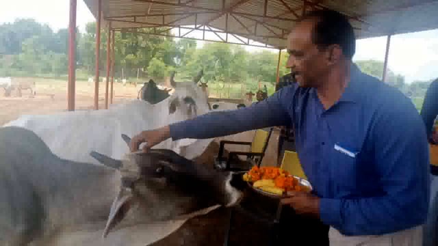 वीरपुरा में उप मुख्य पशु चिकित्सा अधिकारी द्वारा किया गया गौशाला का पूजन