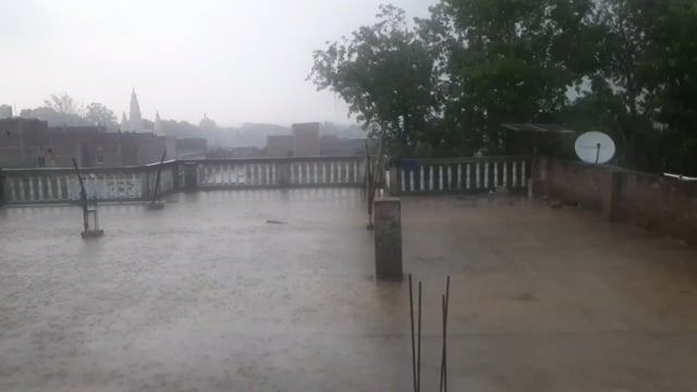 चानन  : चानन प्रखंड क्षेत्र में रिमझिम बारिश से किसानो में खुशी, धान फसल को लाभ। 