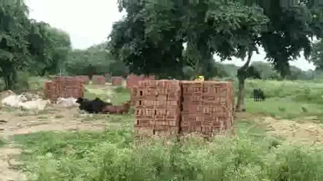 माट  पीपरोली बांगर में जमीन पर नहीं होने दे रहे हैं दबंग लोग निर्माण