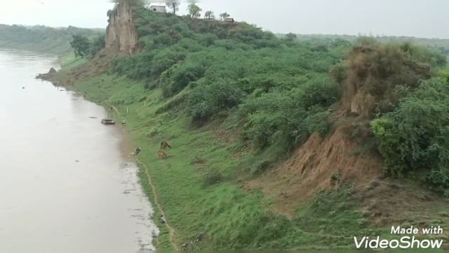 देवकली चौकी स्थित यमुना नदी का जलस्तर आज सुबह 8:00 बजे 109.16 मीटर पहुंचा केंद्रीय जल आयोग ने दी जानकारी