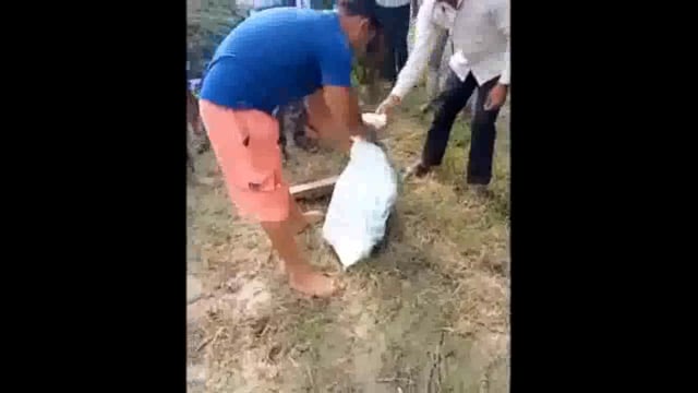 अड़ींग के जंगलों में निकला विशालकाय अजगर , सूचना पर भी नही पहुंची वन विभाग की टीम , ग्रामीणों ने रेस्क्यू कर पकड़ा ।