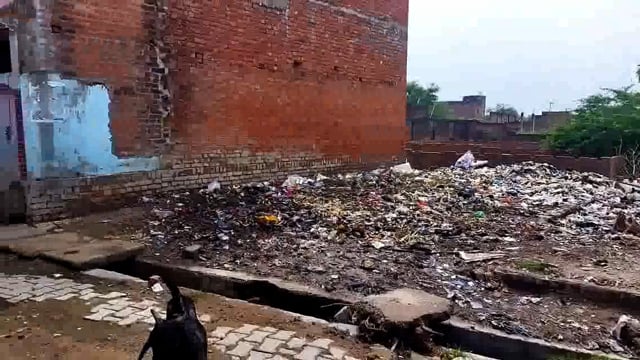 सलोन- कस्बे में लगा कूडे का अंबार, गंदगी से लोग हो रहे है डाइरिया के शिकार। 