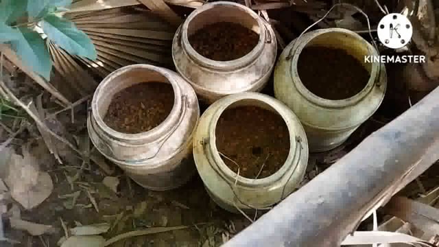 जिले के बॉर्डर एरिया में विदेशी शराब पकड़ी जाती है, जबकि फुल्लीडुमरप्रखंड के जंगली क्षेत्र में महुआशराब खुब बेची जाती है