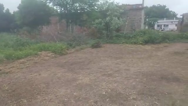 वजीरगंज के बाल्हाराई मे खेल मैदान की हुई सिर्फ सफाई, नेट व वालीबाल का इंतजार कर रहे गांव के बच्चे