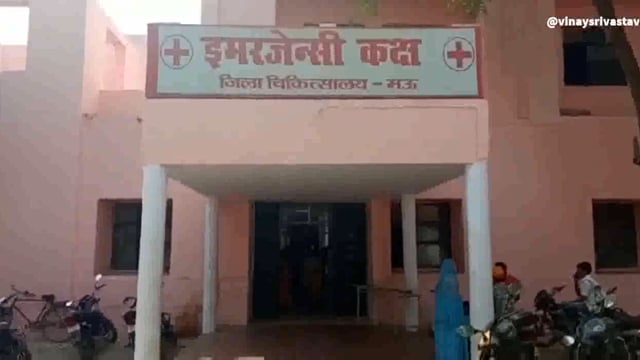 कोचिंग पढ़ने को जाता हुआ छात्र बिल्ली को बचाने में हुआ घायल