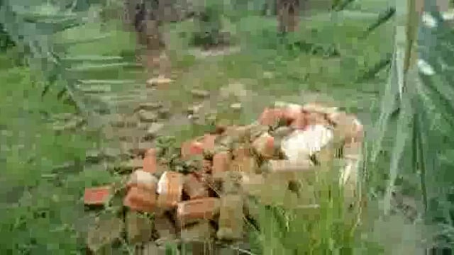 रायबरेली-विगत दिनों वन विभाग द्वारा सड़कों के किनारे बनाए गए पक्के थालों में जमकर किया गया गोलमाल,थालें हुए धाराशाई 