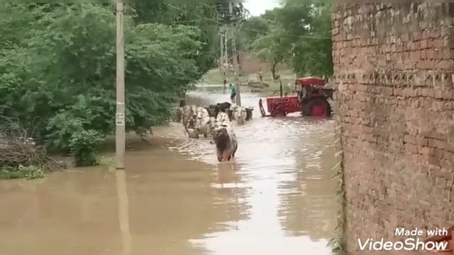 यमुना का जल स्तर बढ़ने से कई गांव बाढ़ की चपेट में, प्रशासन मुस्तैद