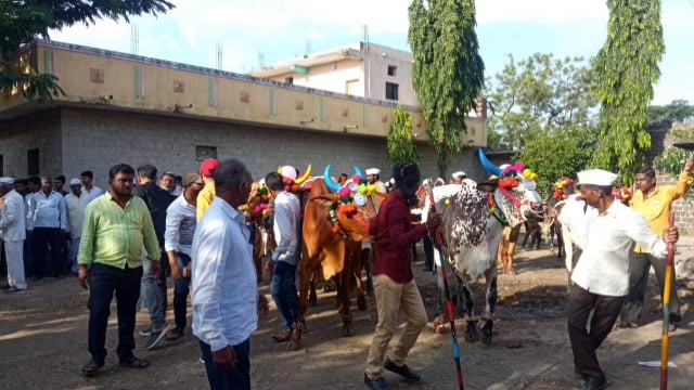तालुक्यात विविध ठिकाणी शेतकऱ्यांनी मोठ्या उत्साहात केला बैल पोळा सण साजरा