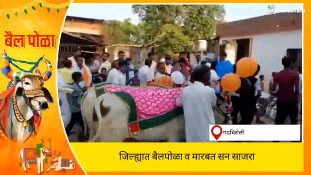 जिल्ह्यात पोळा व मारबत सन उत्साहात साजरा 