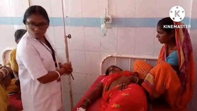 सिसवादमगी  गांव की एक महिला को जहरीले सर्प ने काटा, अस्पताल में भर्ती