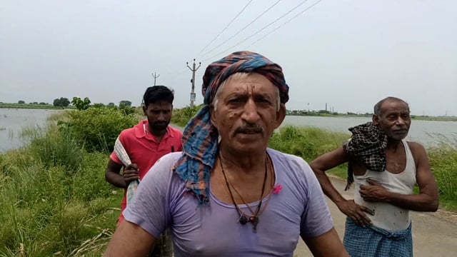 क्यूल नदी के जल स्तर में वृद्धि होने से किसानों का डुबा भदई फसल एवं मवेशी का चारा 