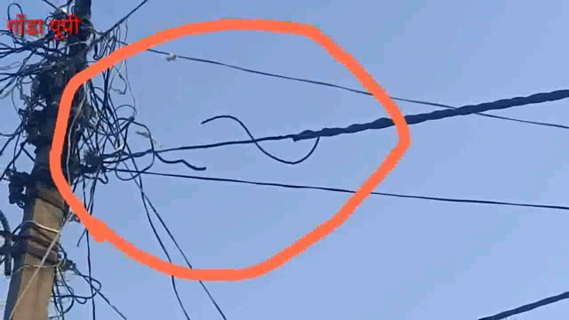 तरबगंज विद्युत केबल टूट कर गिरने से 8 घंटे से सप्लाई बाधित भाजपा जिला कार्यसमिति के सदस्य ने जिला अधिकारी से की शिकायत