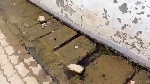 नाली के निर्माण व सफाई को लेकर नगर पालिका प्रशासन को दी चेतावनी