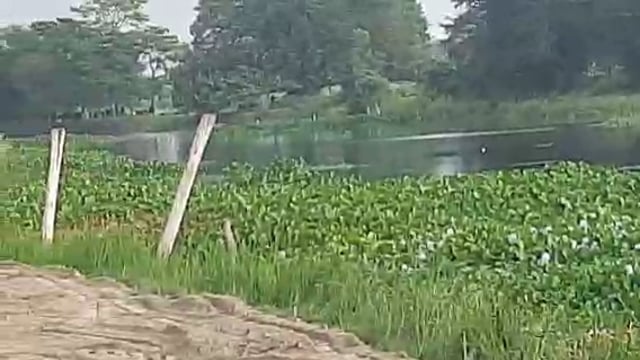 नवाबगंज क्षेत्र अंतर्गत बह रही कुटिला सरयू नदी का बढ़ना शुरू हुआ जलस्तर