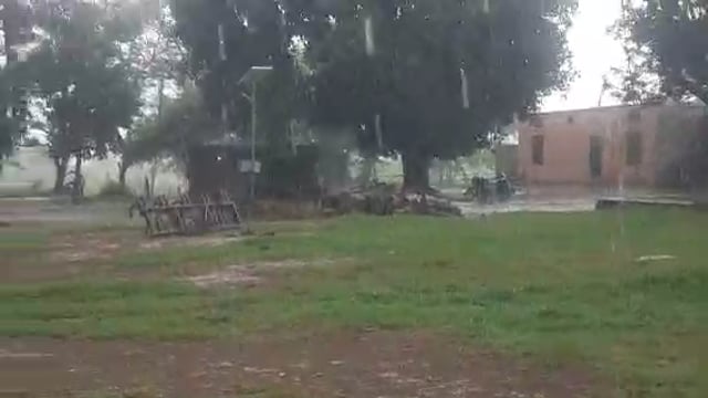 नवाबगंज क्षेत्र के कई जगहों पर 15 दिन बाद हुई मूसलाधार बारिश किसानों में खुशी