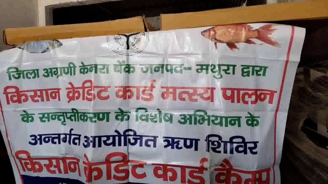 कस्बा शेरगढ़ में मत्स्य विभाग के अधिकारियों द्वारा लगाया गया कैंप