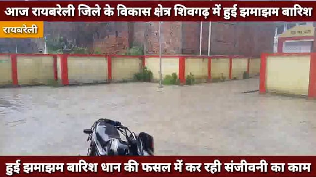 हुई झमाझम बारिश से खिल उठे कृषकों के चेहरे, धान की फसल में संजीवनी का काम कर रही बारिश