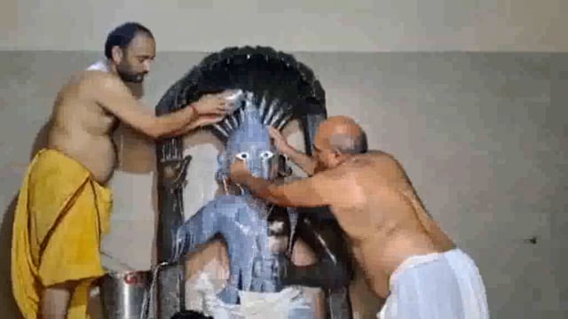 वृंदावन अनाज मंडी में स्थित बड़े दाऊजी महाराज मंदिर में धूमधाम से मना जन्मोत्सव