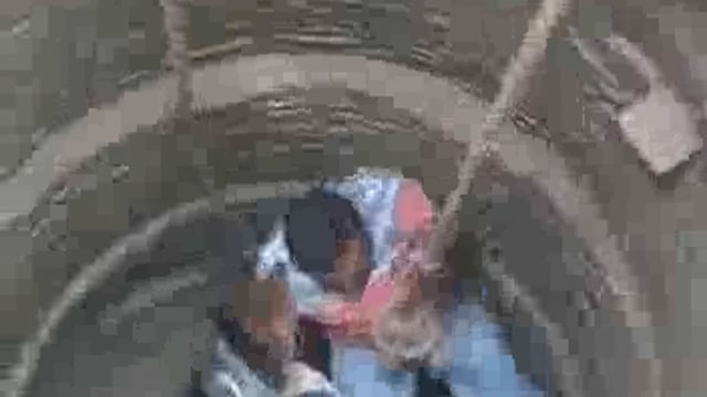 अजीतमल का हालेपुर गांव में कुएं में गिरे राष्ट्रीय पक्षी मोर को फायर टीम ने सकुशल ऑपरेशन रेस्क्यू ऑपरेशन कर निकाला