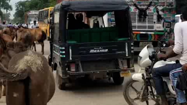 हल्लौर गांव में छुट्टा सांड ने वृद्ध पर किया हमला वृद्ध हुआ गंभीर रूप से घायल ।