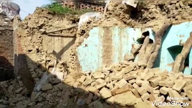 अजीतमल के पूठा गांव दीवार गिरने से पांच मवेशियों की मौत