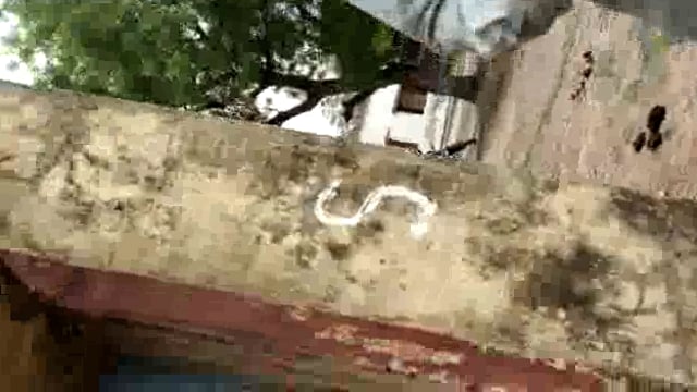 प्रतापगढ़ जिले के बिहार ब्लॉक के कंप्यूटर ऑपरेटर द्वारा धीरज शुक्ला द्वारा खुलेआम बहुत लेने का वीडियो हो रहा वायरल