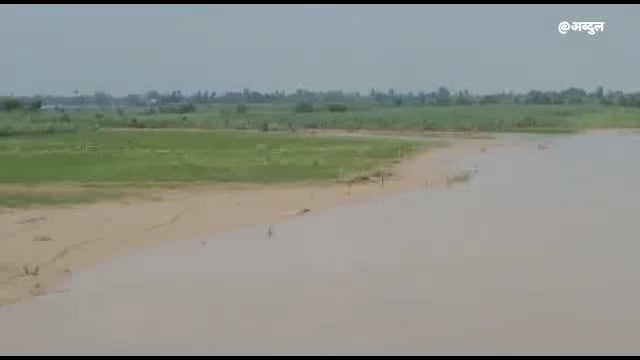 नानपारा तहसील क्षेत्र शिवपुर ब्लाक सरयू नदी की बाढ़ में बह कर आया विलुप्त प्रजाति नाक मगरमच्छ ग्राम अगगरा पुल से देखने क