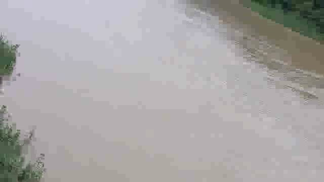 बाढ़ के पानी लोगो की कई धान की फसल हुई बर्बाद तहसील नानपारा वह तहसील महसी दोनों तहसीलों के कई गांव बाढ़ की चपेट में आ गए