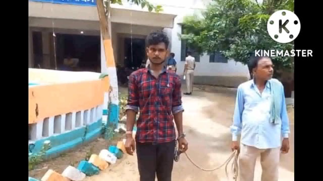 डुब्बा बालू घाट से अवैध बालू खनन करते चालक सहित मिनी हाईवा जब्त