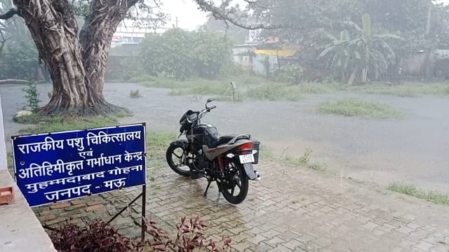 कुछ ही देर हुई बारिश से पशु चिकित्सालय तालाब में तब्दील नहीं है कोई जल निकासी की व्यवस्था