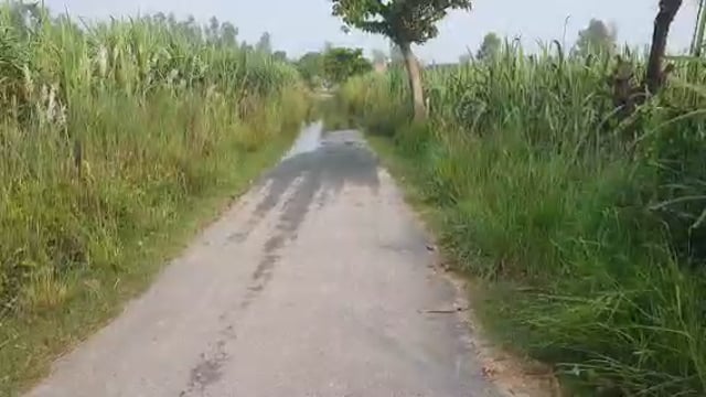 नवाबगंज क्षेत्र के कई गांव का रास्ता हुआ नदी घटने के कारण बहाल आवागमन में सुविधा