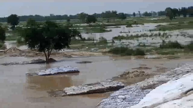 झंझारपुर में कमला बलान नदी में मछुआरे पर मगरमच्छ ने किया हमला