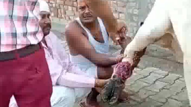 गायों की सेवा में जीवन किया समर्पित पूर्व में लड़े थे जिलापंचायत चुनाब नही मिली सफलता