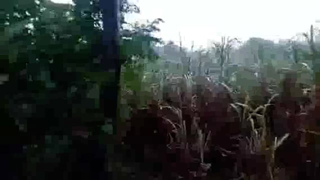 गोंडा :रिमझिम बारिश से किसानों के चेहरे पर लौट रही मुस्कान देखिए रिपोर्ट