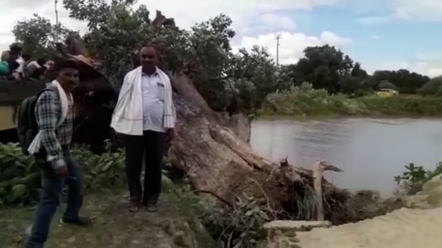 सरयू नहर महसी पुल पर गिरा विशालकाय जामुन का पेड़ घंटों आवागमन रहा प्रवाहित लोग रहे परेशान