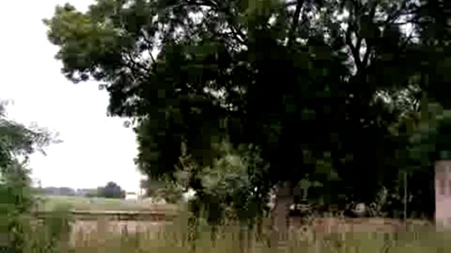 बारिश न होने से, किसान मायूस